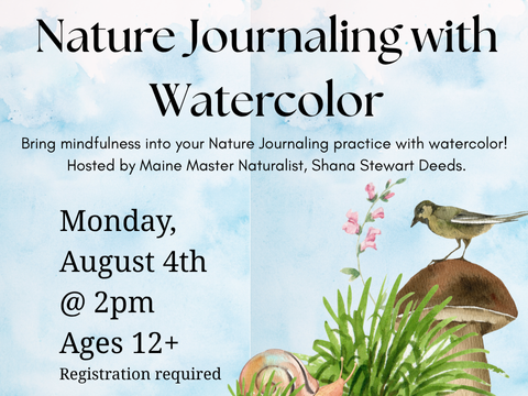 An image describing the Nature Journaling with Watercolor event